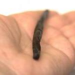 2 Organic Whole Vanilla Bea..