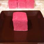 12 Pretty Pink Hibiscus Mar..